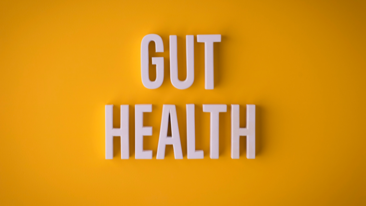 The Importance of Gut Health to Losing Weight